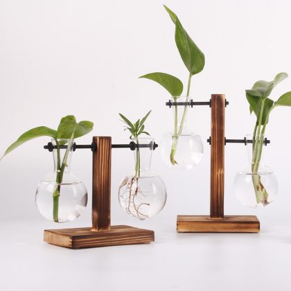 Hydroponic Plant Terrarium Vasevase Decoration Home Glass - wotira